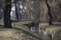 zdjęcie parku Stary Ogród