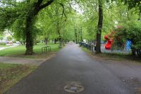 zdjęcie alejki parku Planty