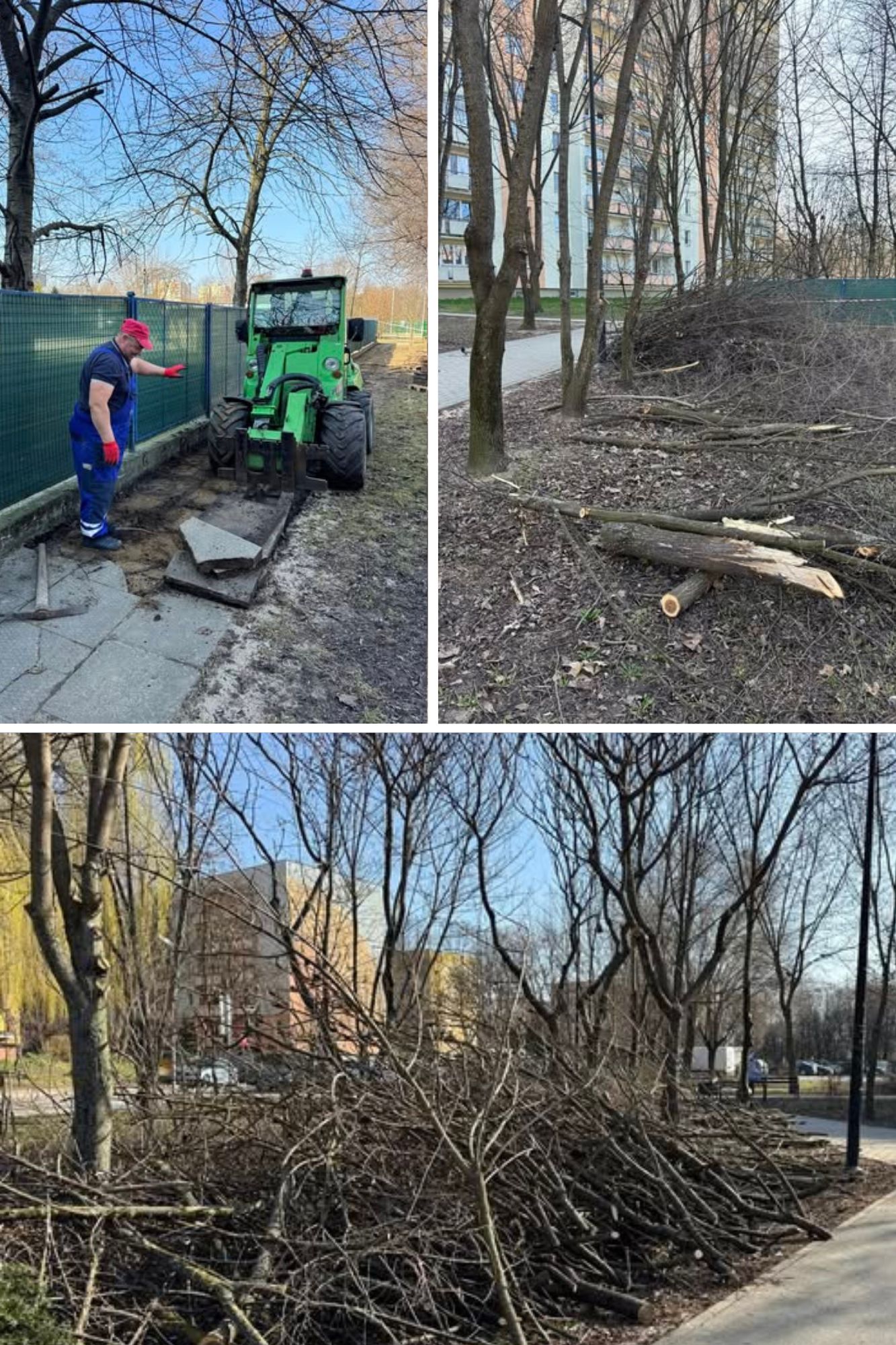 Prace w parku Michałów