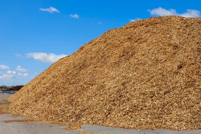 Przetarg na sporzedaż zrębki