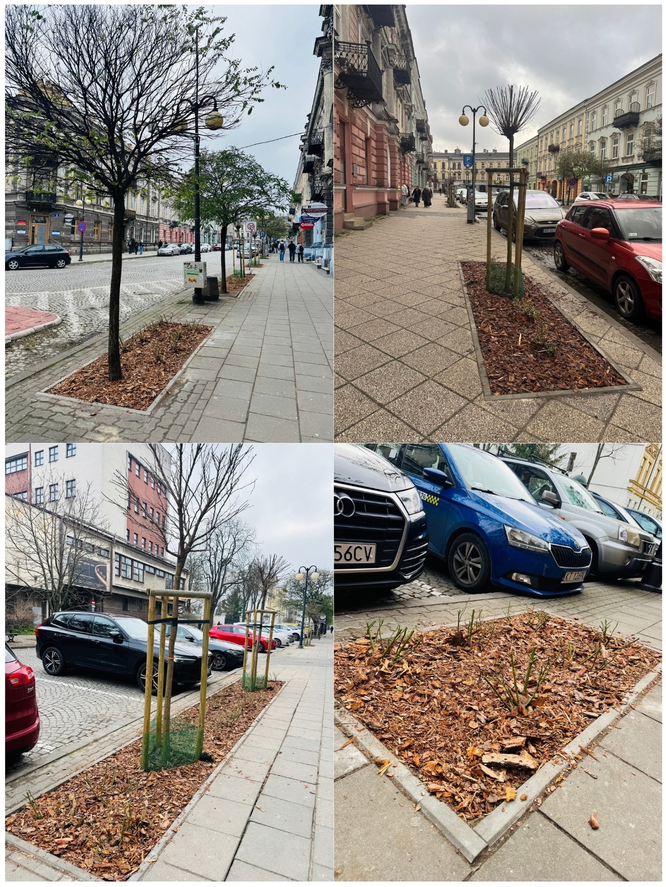 Radom zyskał kolejną zieloną przestrzeń!